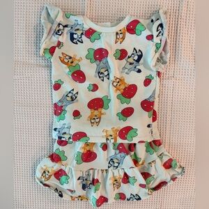 Bluey 2 Piece Outfit